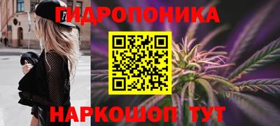 а пвп мука Ачхой-Мартан