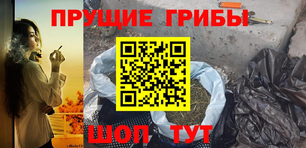 Галлюциногенные грибы мицелий Владивосток