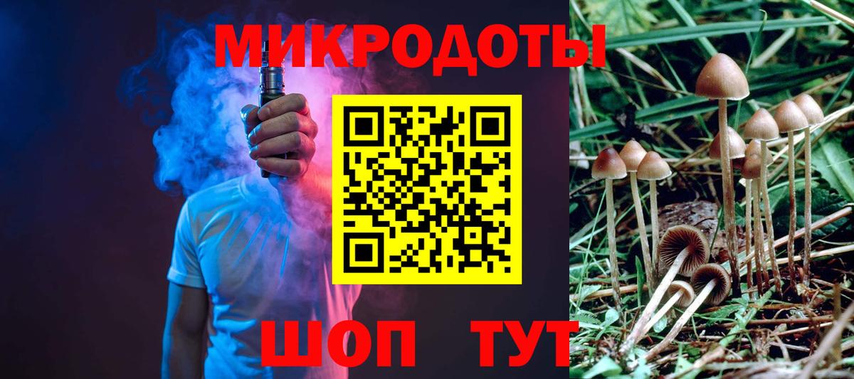 Владивосток  Псилоцибиновые грибы прущие грибы  Вход с VPN 